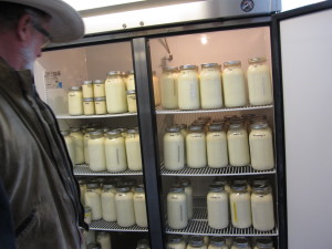 Dairy produce at Sustainable Settings